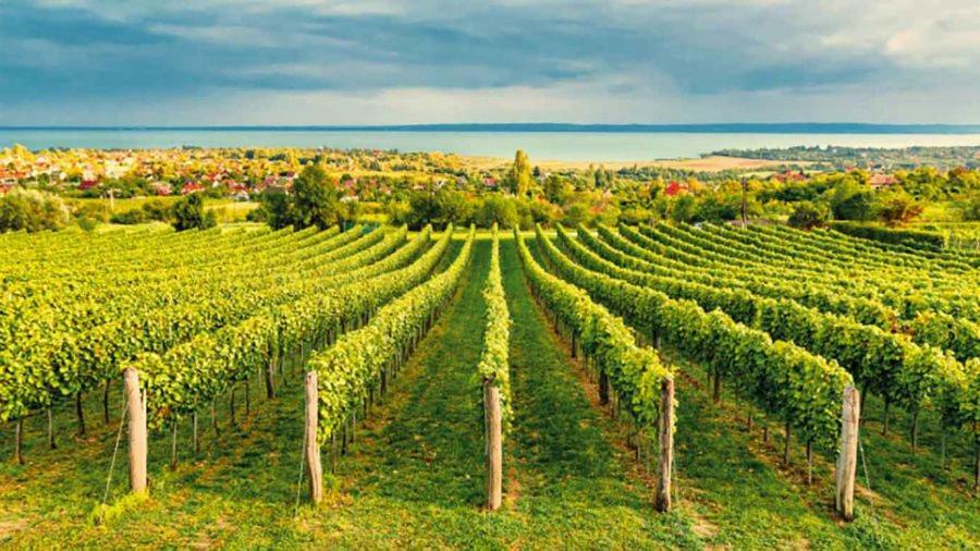 Silver Delux Apartman Balatonfüred Dış mekan fotoğraf